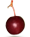 Sirops_bio_besançon