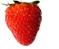 Fruits_bio_besançon